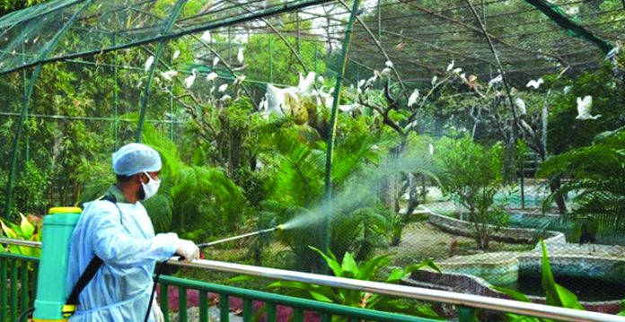 Zoo park ke parindon ko bird Flu se mehfooz rakhnay ke liye sakht iqdamaat