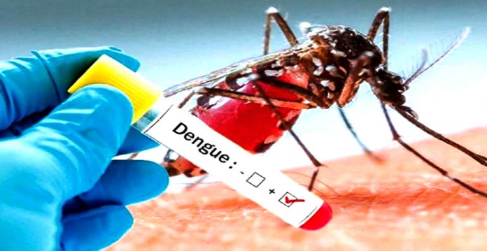 Telangana mein Hyderabad sab se zyada Dengue se mutasir